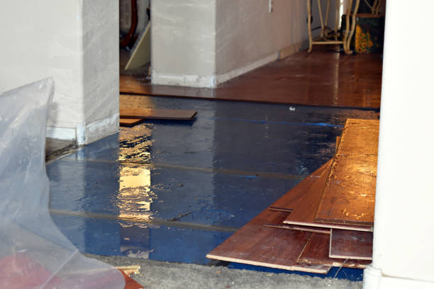 Professional Burst Pipe Water Damage technician working in Cummington, MA